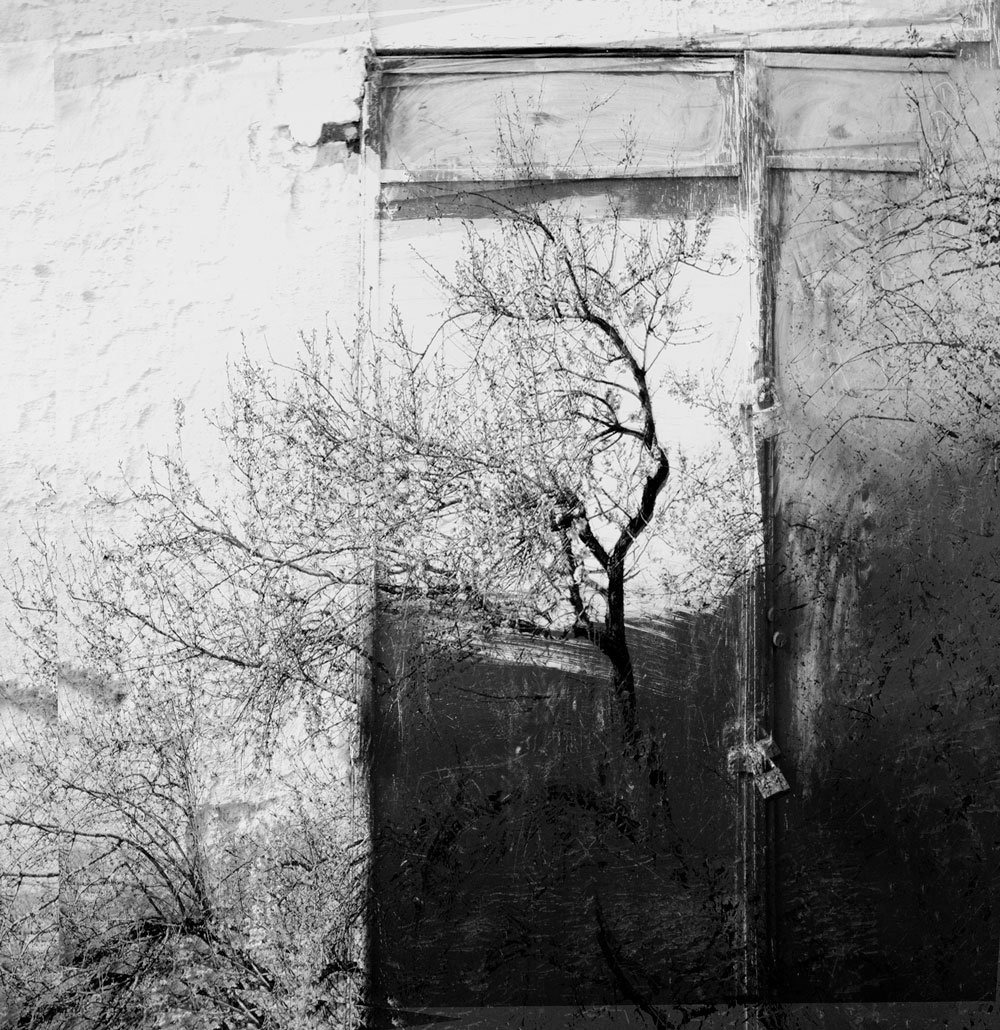 Tree Lock