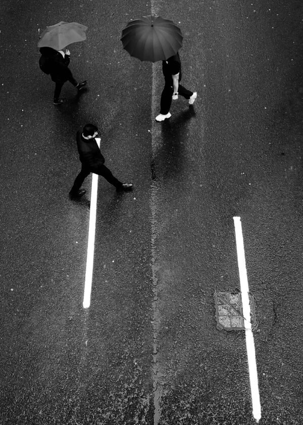 Untitled 1