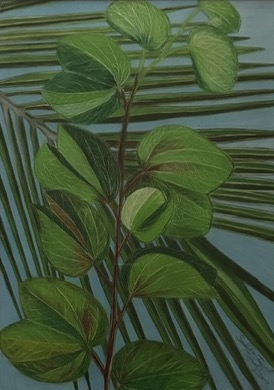 Bauhinia and Palm Tree 1