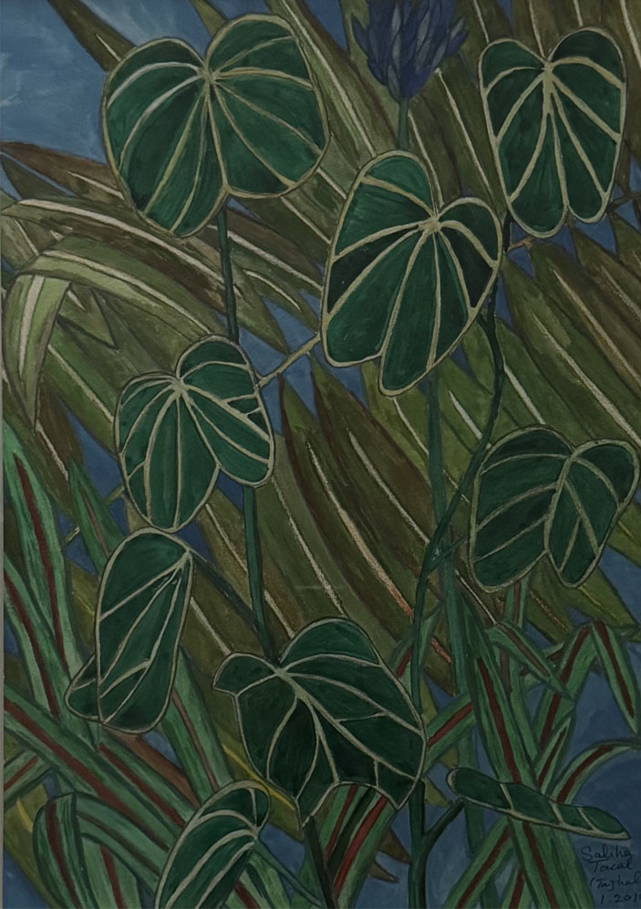 Bauhinia and Palm Tree II