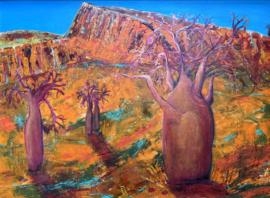 Boab’s of Kimberley WA