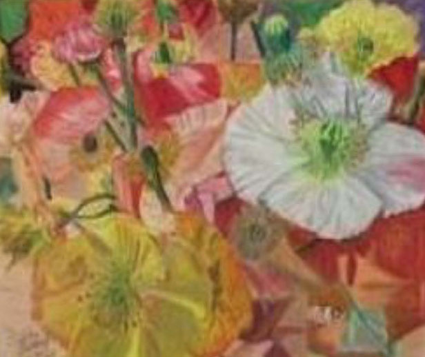 Echoes of Bloom