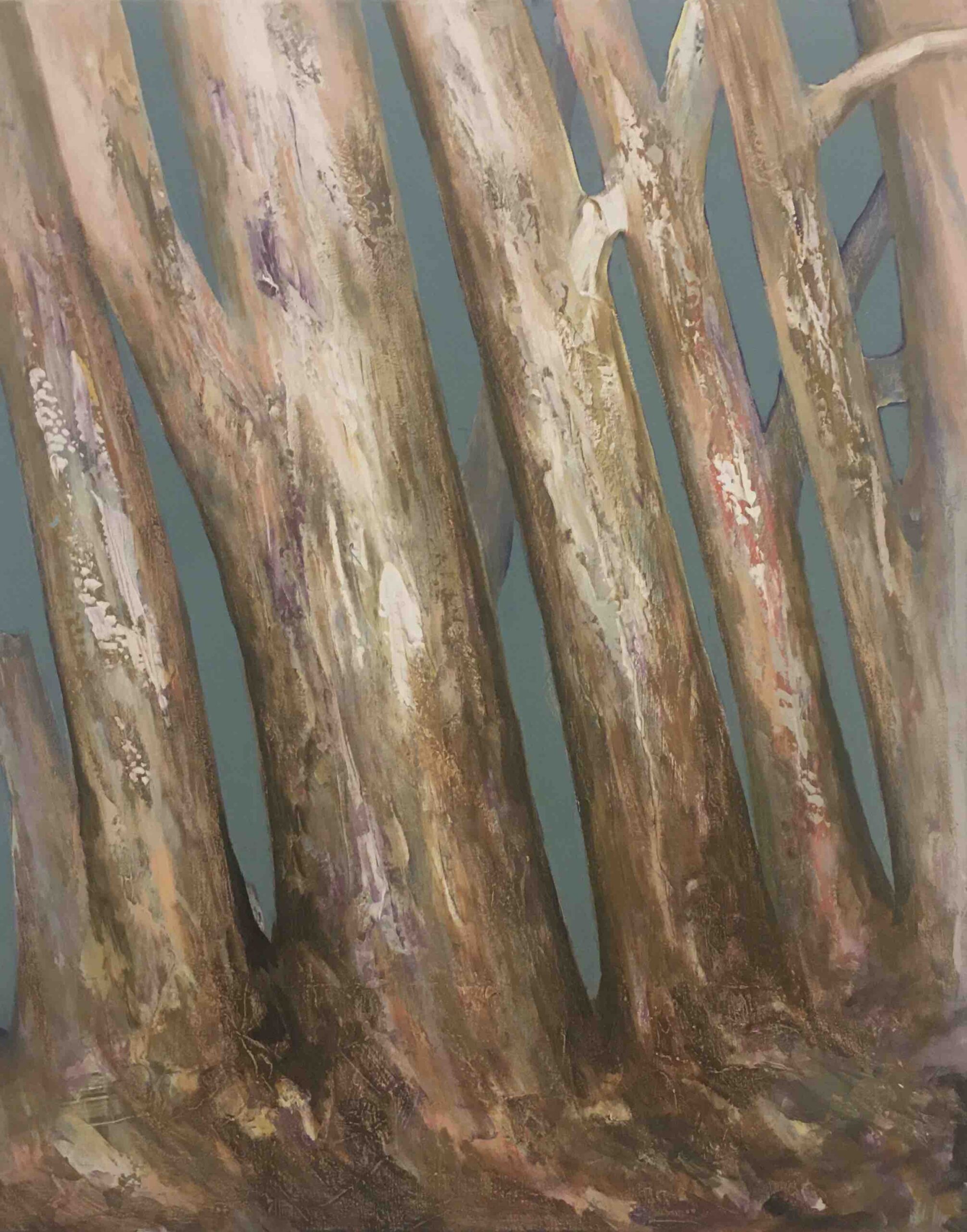 Echoes of the Forest 4