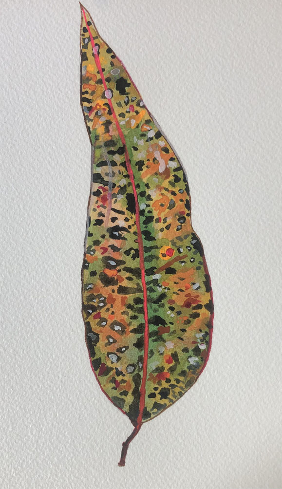 Autumn Leaf